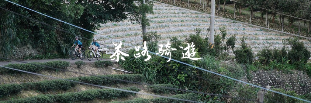 台灣單車下半年度盛事「2024 茶路騎遊線上認證挑戰」八月登場！